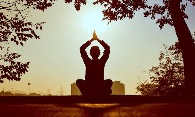 Pranic Healing and Meditation How to Harmonise Body & Mind
